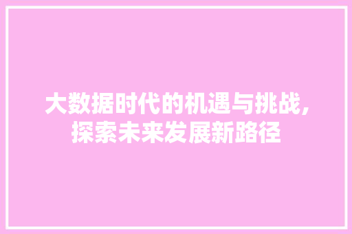 大数据时代的机遇与挑战,探索未来发展新路径
