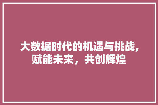 大数据时代的机遇与挑战,赋能未来，共创辉煌