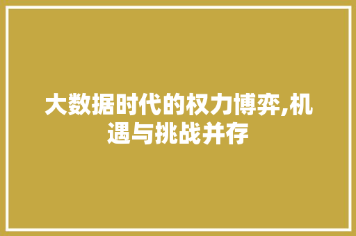 大数据时代的权力博弈,机遇与挑战并存 友链在线