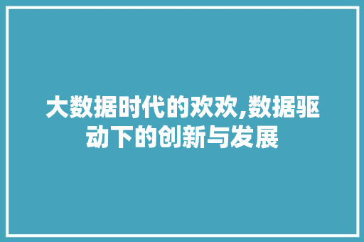 大数据时代的欢欢,数据驱动下的创新与发展