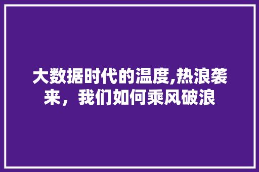 大数据时代的温度,热浪袭来，我们如何乘风破浪