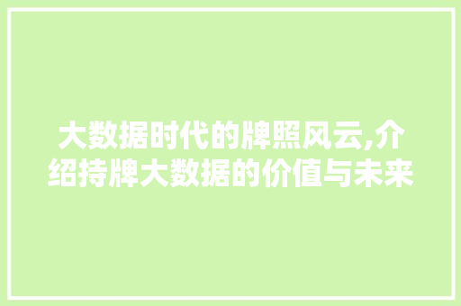 大数据时代的牌照风云,介绍持牌大数据的价值与未来 建站教程