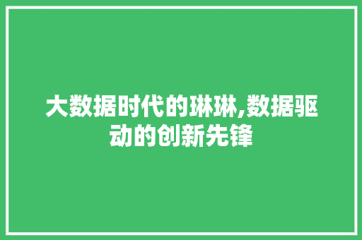 大数据时代的琳琳,数据驱动的创新先锋 建站教程