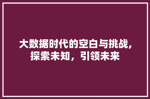 大数据时代的空白与挑战,探索未知，引领未来
