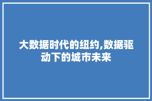 大数据时代的纽约,数据驱动下的城市未来