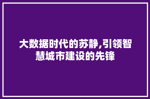 大数据时代的苏静,引领智慧城市建设的先锋