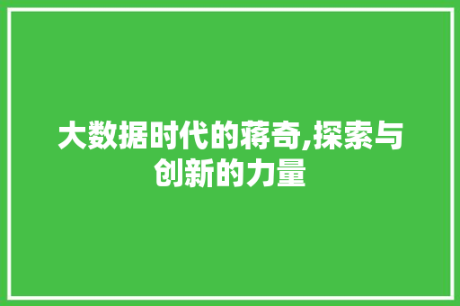 大数据时代的蒋奇,探索与创新的力量