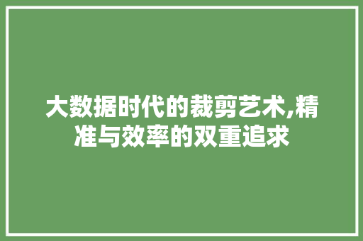 大数据时代的裁剪艺术,精准与效率的双重追求