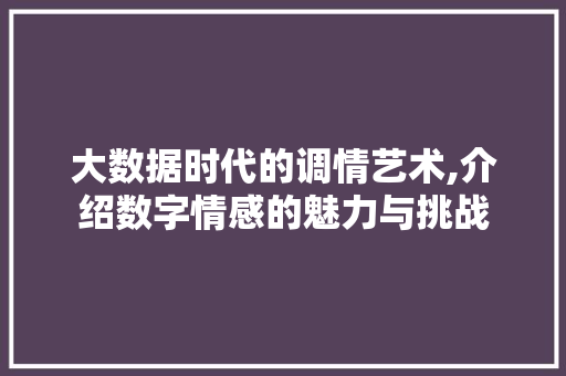 大数据时代的调情艺术,介绍数字情感的魅力与挑战