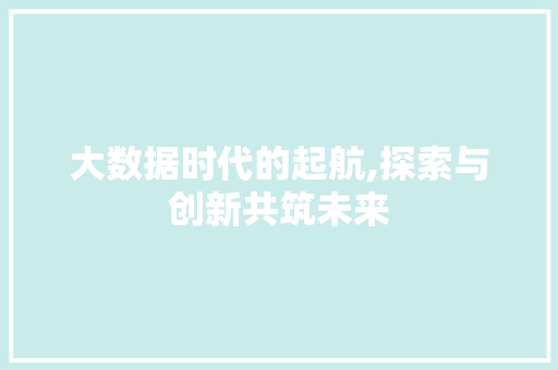 大数据时代的起航,探索与创新共筑未来
