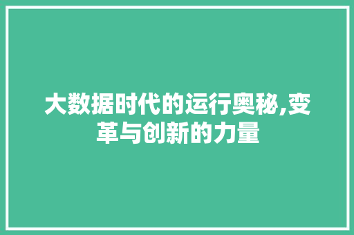 大数据时代的运行奥秘,变革与创新的力量
