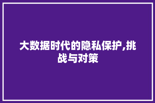 大数据时代的隐私保护,挑战与对策