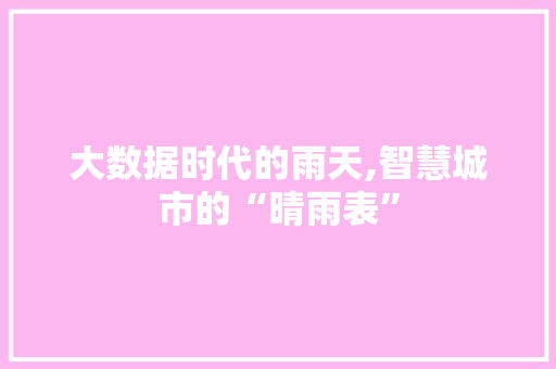 大数据时代的雨天,智慧城市的“晴雨表”
