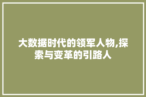 大数据时代的领军人物,探索与变革的引路人 建站教程
