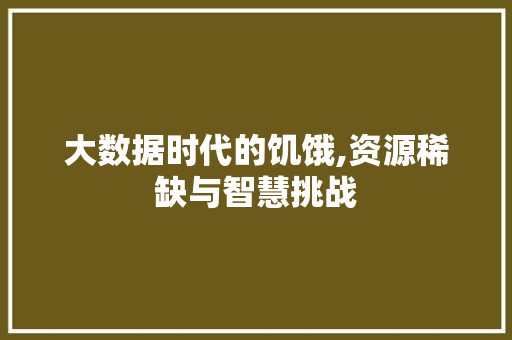 大数据时代的饥饿,资源稀缺与智慧挑战 Web前端
