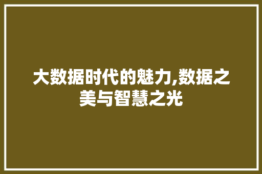 大数据时代的魅力,数据之美与智慧之光