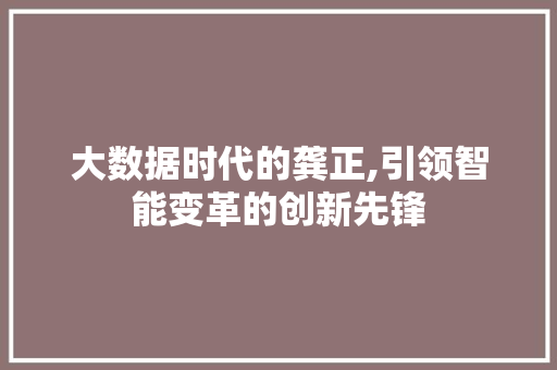 大数据时代的龚正,引领智能变革的创新先锋 WordPress教程