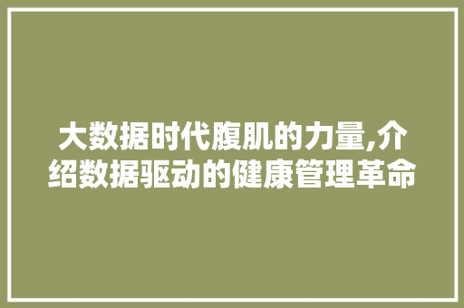 大数据时代腹肌的力量,介绍数据驱动的健康管理革命 WordPress教程
