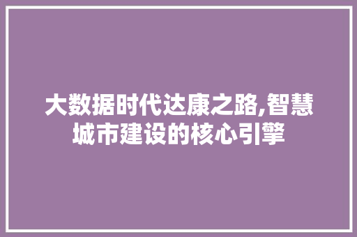 大数据时代达康之路,智慧城市建设的核心引擎 建站教程