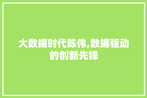 大数据时代陈伟,数据驱动的创新先锋 SEO教程