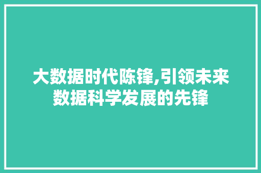 大数据时代陈锋,引领未来数据科学发展的先锋 建站教程