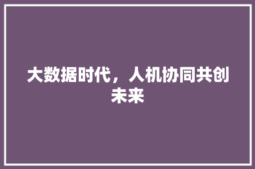 大数据时代，人机协同共创未来
