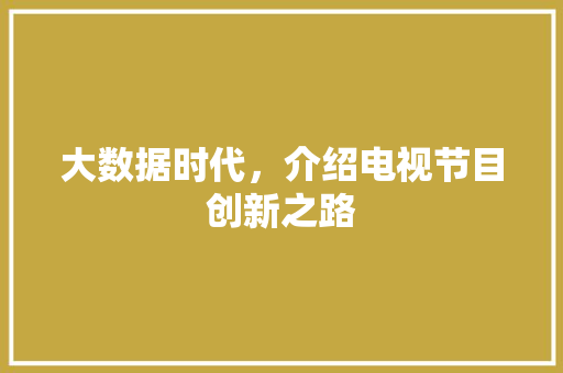 大数据时代，介绍电视节目创新之路
