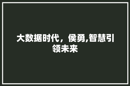 大数据时代，侯勇,智慧引领未来 Web前端