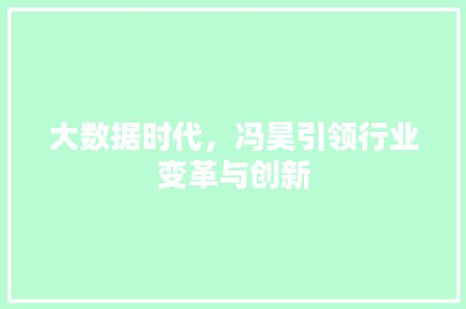 大数据时代，冯昊引领行业变革与创新 WordPress教程