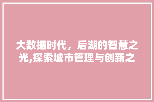 大数据时代，后湖的智慧之光,探索城市管理与创新之路 Web前端