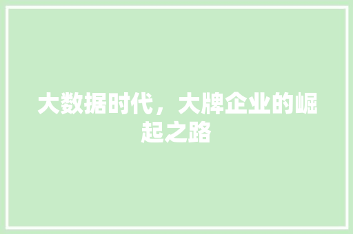 大数据时代，大牌企业的崛起之路 建站教程
