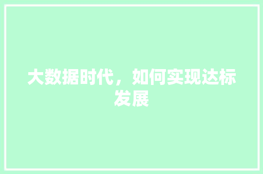 大数据时代，如何实现达标发展 WordPress教程