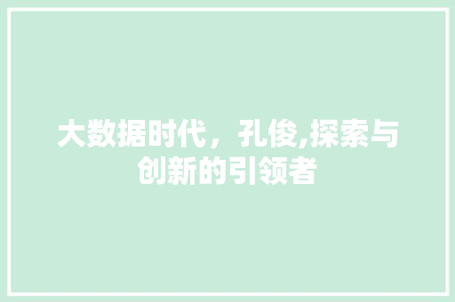 大数据时代，孔俊,探索与创新的引领者 SEO教程