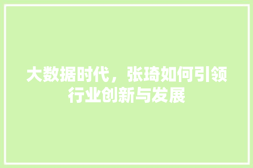 大数据时代，张琦如何引领行业创新与发展 Web前端