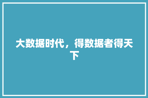 大数据时代，得数据者得天下 建站教程