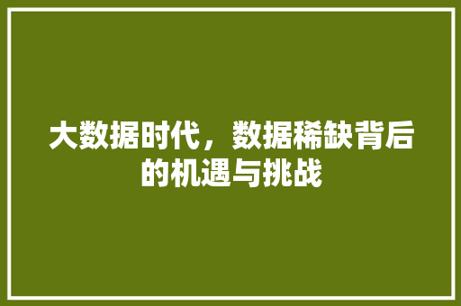 大数据时代，数据稀缺背后的机遇与挑战