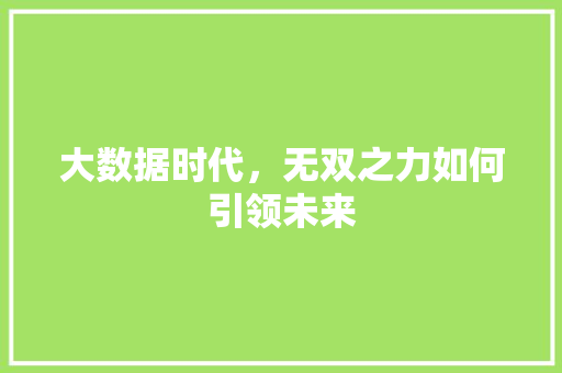 大数据时代，无双之力如何引领未来