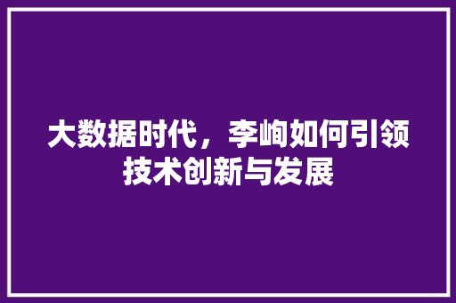 大数据时代，李峋如何引领技术创新与发展