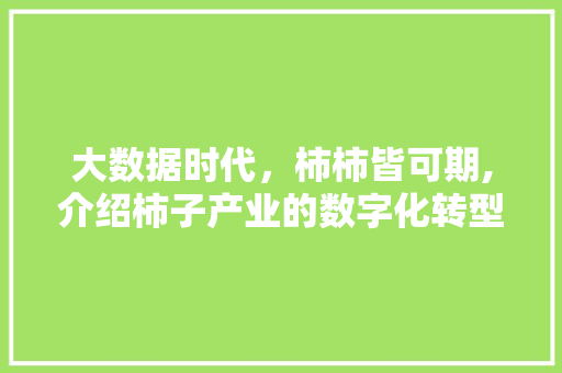 大数据时代，柿柿皆可期,介绍柿子产业的数字化转型之路