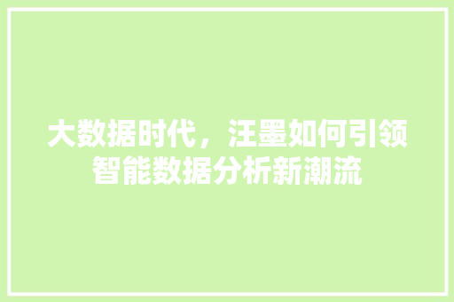大数据时代，汪墨如何引领智能数据分析新潮流