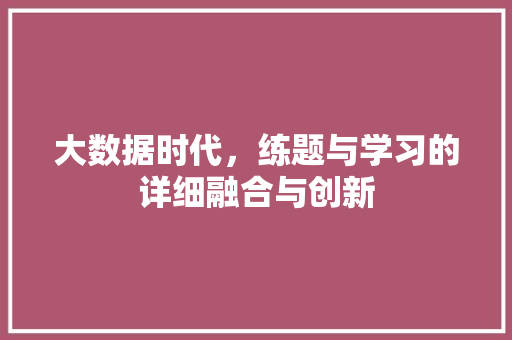 大数据时代，练题与学习的详细融合与创新 SEO教程