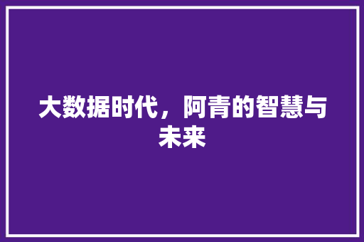 大数据时代，阿青的智慧与未来