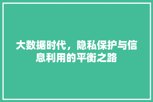 大数据时代，隐私保护与信息利用的平衡之路