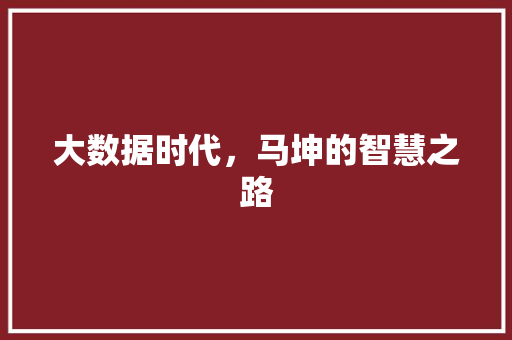 大数据时代，马坤的智慧之路