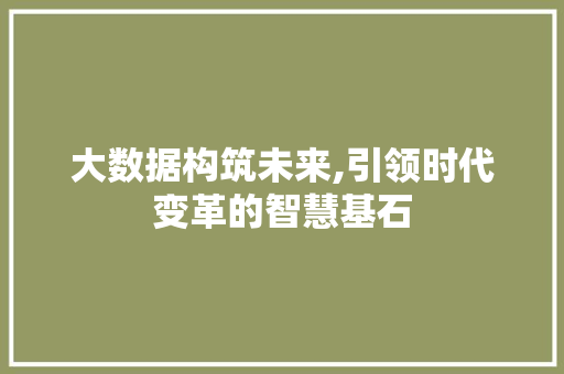 大数据构筑未来,引领时代变革的智慧基石 WordPress教程