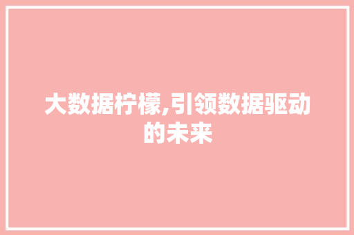 大数据柠檬,引领数据驱动的未来