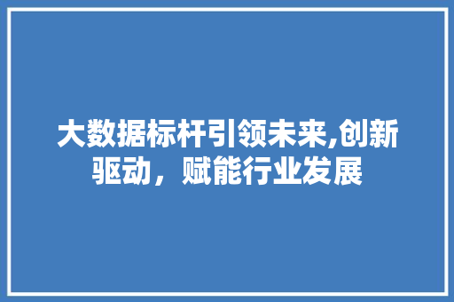 大数据标杆引领未来,创新驱动，赋能行业发展 建站教程