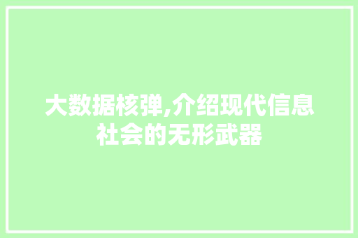 大数据核弹,介绍现代信息社会的无形武器