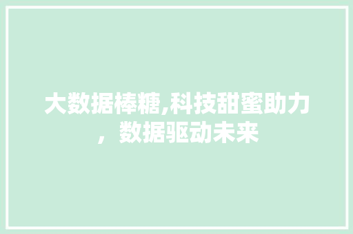 大数据棒糖,科技甜蜜助力，数据驱动未来