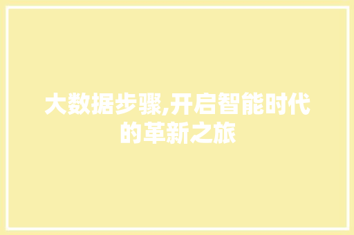 大数据步骤,开启智能时代的革新之旅